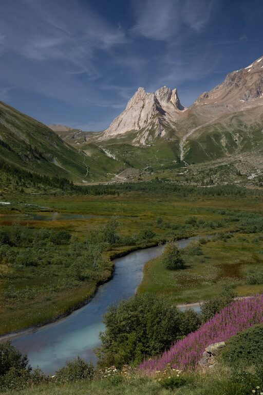 Beginner Tips for Taking Better Phone Photos